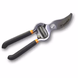 Bradas KT-RG1009