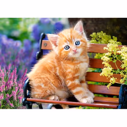 Castorland Ginger Kitten 180 pcs Jeu de puzzle 180 pièce(s) Faune