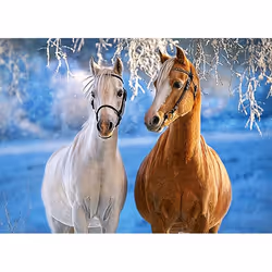 Castorland The Winter Horses 260 pcs Jeu de puzzle 260 pièce(s) Faune
