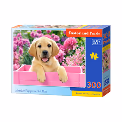 Castorland Labrador Puppy in Pink Box 300 pcs, 300 pièce(s), Faune, 8 an(s)