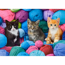 Castorland B-030477 puzzle Jeu de puzzle 300 pièce(s) Animaux