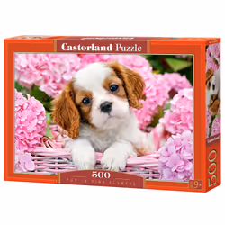 Castorland Pup in pink flowers 500 pcs, 500 pièce(s), Faune, 9 an(s)