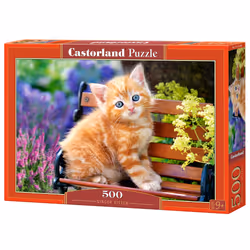 Castorland Ginger kitten 500 pcs, 500 pièce(s), Faune, 9 an(s)