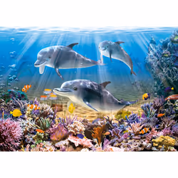 Castorland Dolphins Underwater 500 pcs Jeu de puzzle 500 pièce(s) Flore et faune