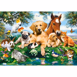 Castorland Summer Pals 500 pcs Jeu de puzzle 500 pièce(s) Animaux