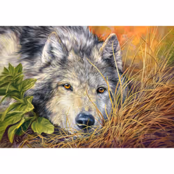 Castorland Pure Soul 500 pcs Jeu de puzzle 500 pièce(s) Animaux