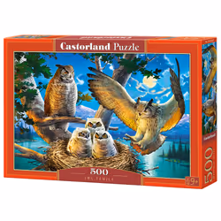 Castorland Owl Family 500 pcs, 500 pièce(s), Animaux, 9 an(s)