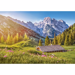 Castorland Summer in the Alps 500 pcs Jeu de puzzle 500 pièce(s) Paysage