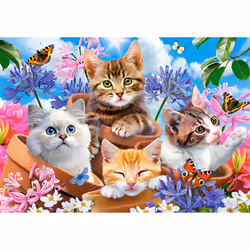 Castorland B-53513 puzzle Jeu de puzzle 500 pièce(s) Animaux