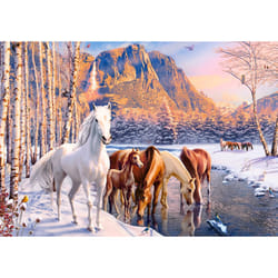 Castorland B-53704 puzzle Jeu de puzzle 500 pièce(s) Hiver