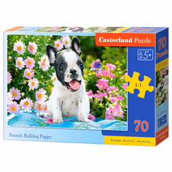 Castorland B-070152, 70 pièce(s), Animaux, 5 an(s)