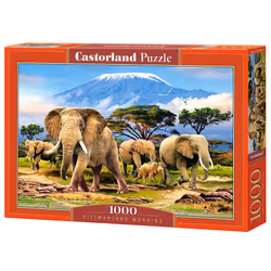Castorland Kilimanjaro Morning 1000 pcs, 1000 pièce(s), Faune, 9 an(s)