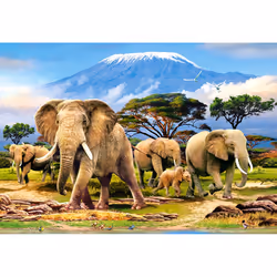 Castorland Kilimanjaro Morning 1000 pcs Jeu de puzzle 1000 pièce(s) Faune