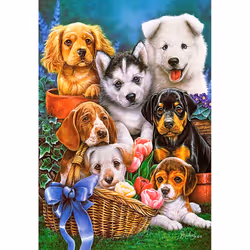 Castorland Puppies, 1000 pièce(s), Animaux, 9 an(s)