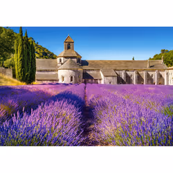 Castorland Lavender Field in Provence, France 1000 pcs Jeu de puzzle 1000 pièce(s) Paysage
