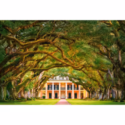 Castorland Oak Alley Plantation 1000 pcs Jeu de puzzle 1000 pièce(s) Paysage