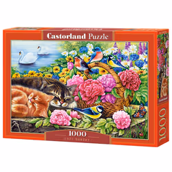 Castorland Lazy Sunday, 1000 pièce(s), Animaux, 9 an(s)