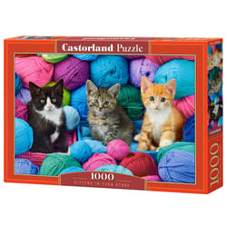 Castorland Kittens in Yarn Store Jeu de puzzle 1000 pièce(s) Animaux