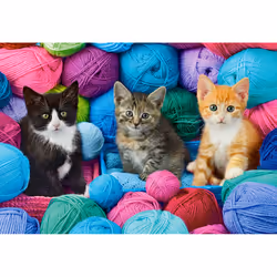 Castorland Kittens in Yarn Store Jeu de puzzle 1000 pièce(s) Animaux