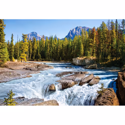 Castorland Athabasca River, Jasper National Park, Canada 1500 pcs Jeu de puzzle 1500 pièce(s) Paysage