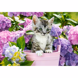 Castorland C-152001-2 puzzle Jeu de puzzle 1500 pièce(s) Animaux