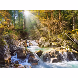 Castorland The forest stream 2000 pcs Jeu de puzzle 2000 pièce(s) Paysage