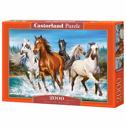 Castorland Call of Nature 2000 pcs, 2000 pièce(s), Animaux, 9 an(s)