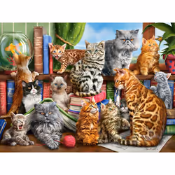 Castorland House of Cats, 2000 pièce(s), Animaux, 9 an(s)