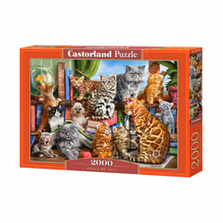Castorland House of Cats Jeu de puzzle 2000 pièce(s) Animaux