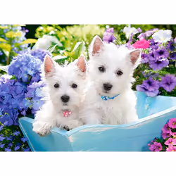 Castorland B-222032 puzzle Jeu de puzzle 200 pièce(s) Animaux