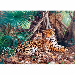 Castorland Jaguars in the jungle (limited distribution!) 3000 pcs Jeu de puzzle 3000 pièce(s) Faune