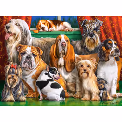 Castorland Dog Club, 3000 pièce(s), Animaux, 9 an(s)