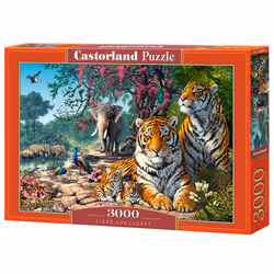 Castorland C-300600-2, 3000 pièce(s), Animaux, 9 an(s)