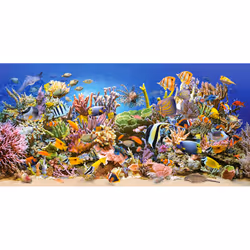 Castorland Underwater life 4000 pcs Jeu de puzzle 4000 pièce(s) Aquatique