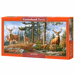 Castorland C-400317-2, 4000 pièce(s), Animaux, 9 an(s)