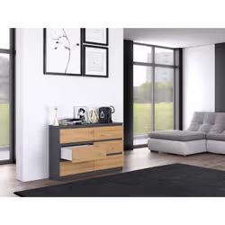 Topeshop M6 120 ANTRACYT/ART Commode