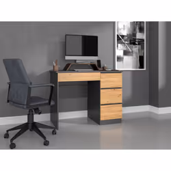 Topeshop MIJAS P ANT/ART KPL bureau d'ordinateur Couleur chêne
