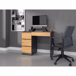 Topeshop MIJAS L ANT/ART KPL bureau d'ordinateur Couleur chêne