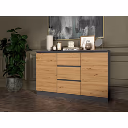 Topeshop 2D3S ANT/ART KPL Commode
