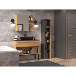 Topeshop NEL II ANT/ART armoire de rangement de salle de bain Graphite, Chêne