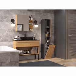 Topeshop NEL III ANT/ART armoire de rangement de salle de bain Graphite, Chêne