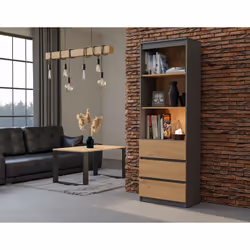 Topeshop RS-60 ANT/ART KPL bibliothèque de bureau