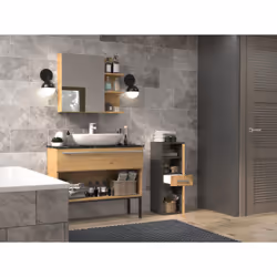 Topeshop NEL V DDS ANT/ART armoire de rangement de salle de bain Graphite, Chêne