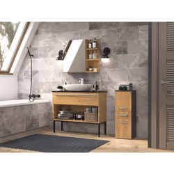Topeshop NEL V DDS ANT/ART armoire de rangement de salle de bain Graphite, Chêne