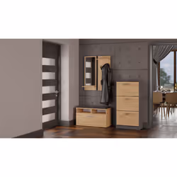 Topeshop PAULA ANT/ART Organisateur pour chaussures Fermé Anthracite, Chêne