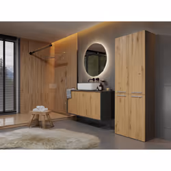Topeshop NEL 1K DD ANT/ART KP armoire de rangement de salle de bain Graphite, Chêne