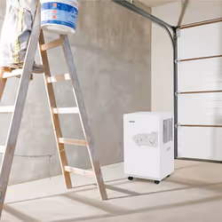 Déshumidificateur domestique Master DH 721 P; 490 W