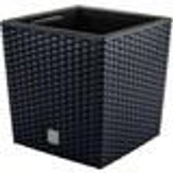 Prosperplast Pot de fleurs avec insert de 8L Rato Low DRTS225L anthracite