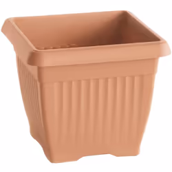Pot de la collection TERRA Dimensions : 240x240x200 Terre cuite