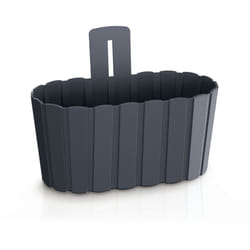 Prosperplast - Pot mural 2,2L Boardee 19x15x20 cm - Anthracite - Anthracite